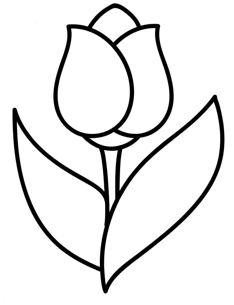 Desenho de Imprimivel Grátis Tulipa para Crianças para Colorir