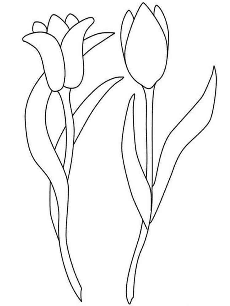 Desenho de Imprimivel Grátis Tulipa para Colorir