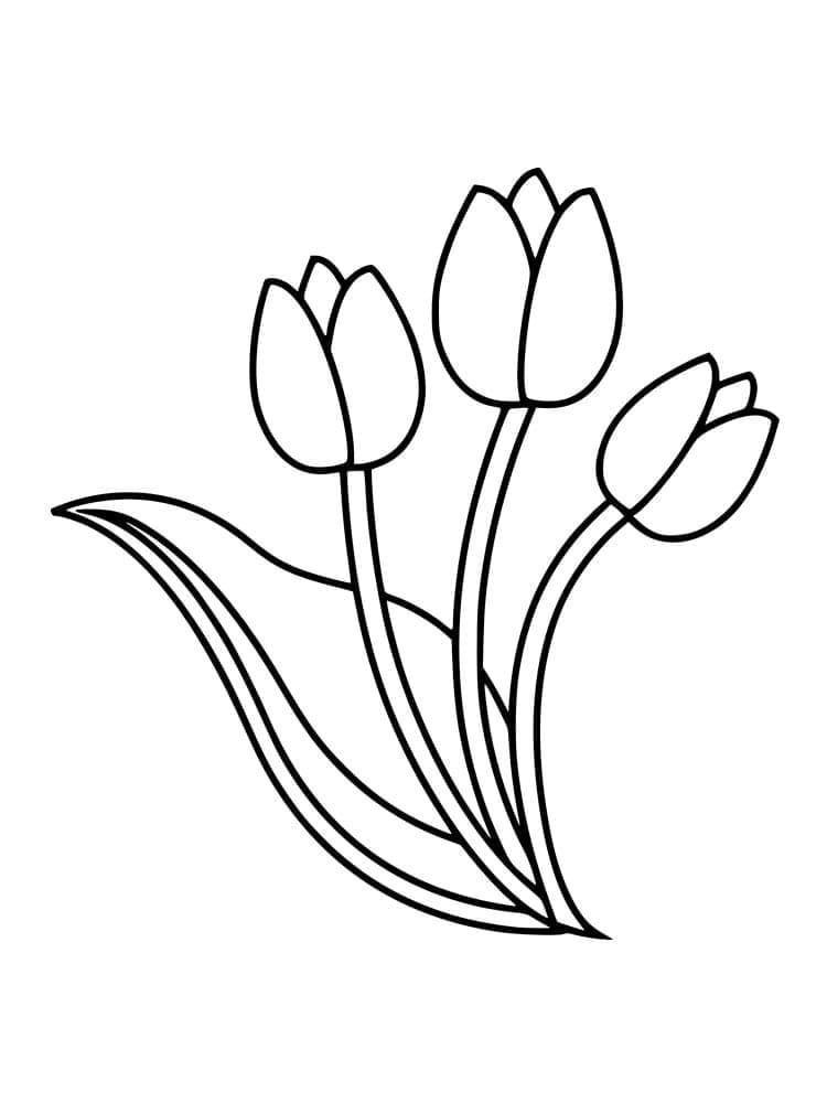 Desenho de Imprimivel Tulipa para Colorir