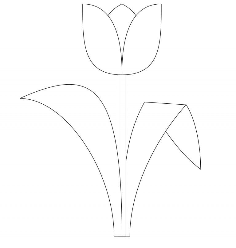 Desenho de Tulipa Bonita para Colorir
