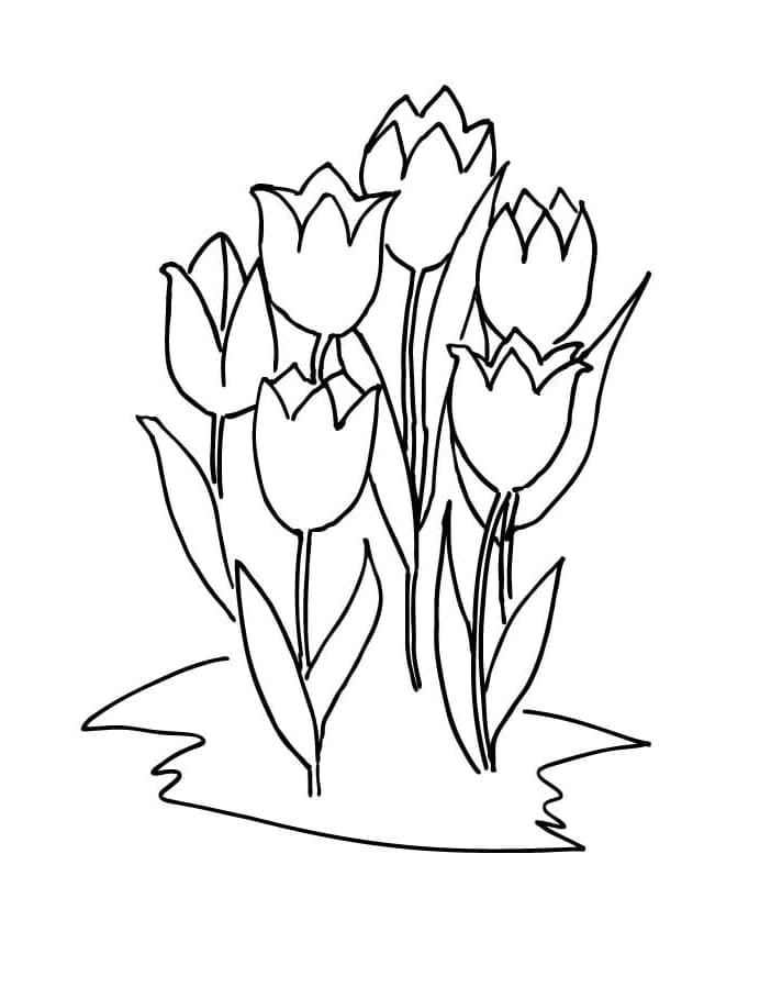 Desenho de Tulipa Imprimivel Grátis para Crianças para Colorir