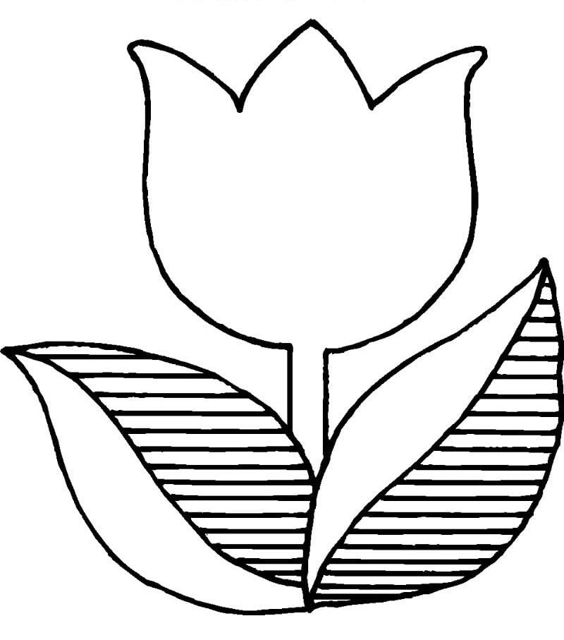 Desenho de Tulipa Muito Bonita para Colorir