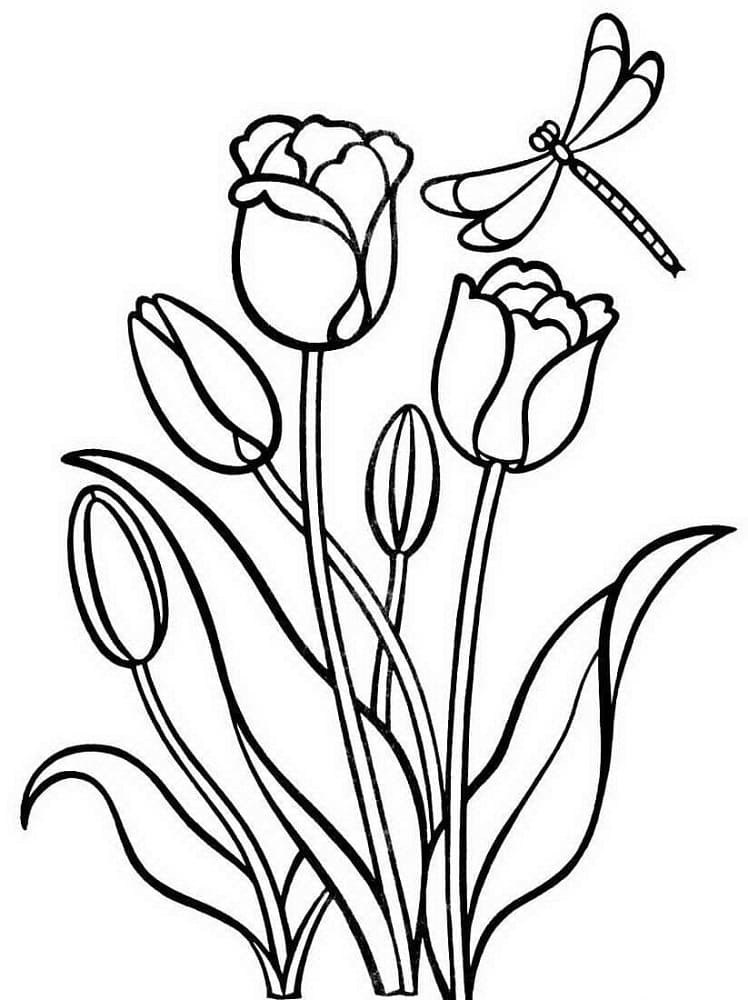 Desenho de Tulipa para Crianças de 2 Anos para Colorir