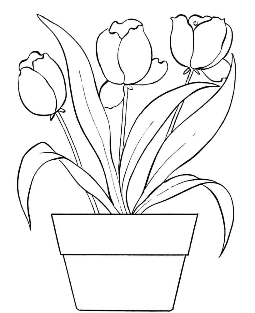 Desenho de Tulipa para Crianças de 3 Anos para Colorir