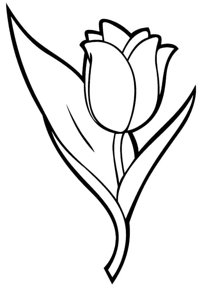 Desenho de Tulipa para Crianças de 5 Anos para Colorir