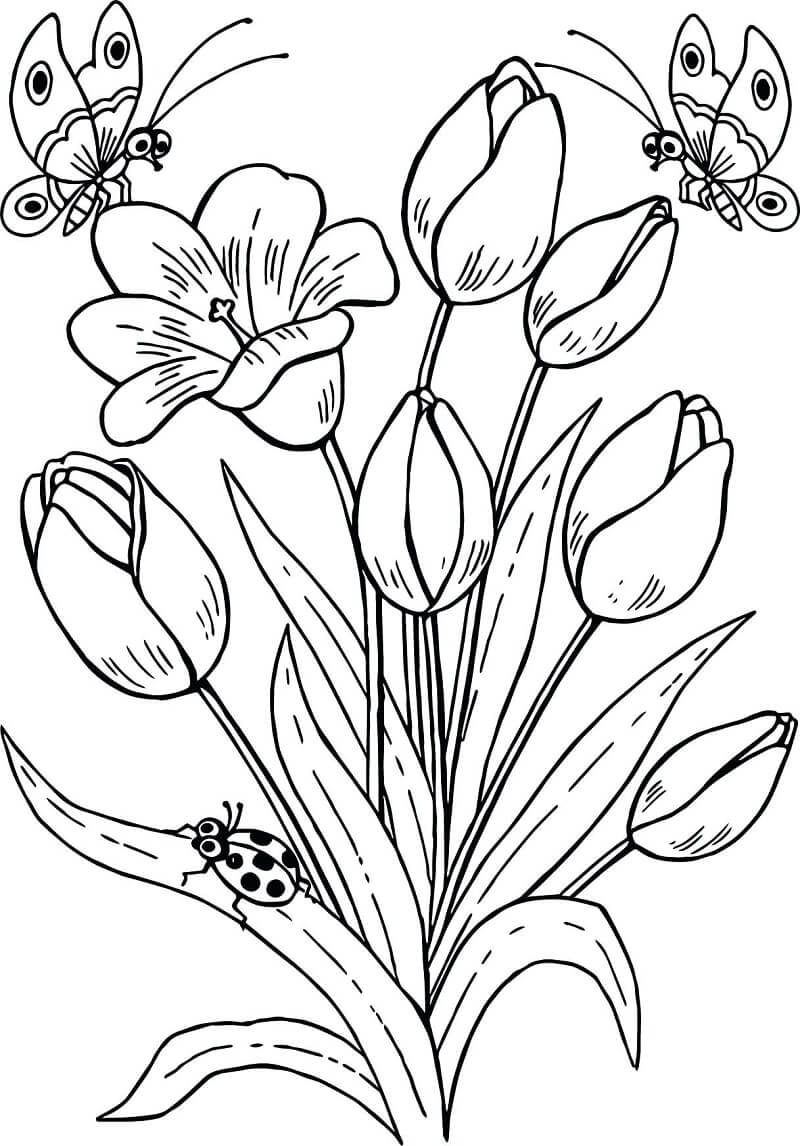 Desenho de Flor Tulipa Download Pdf para Colorir
