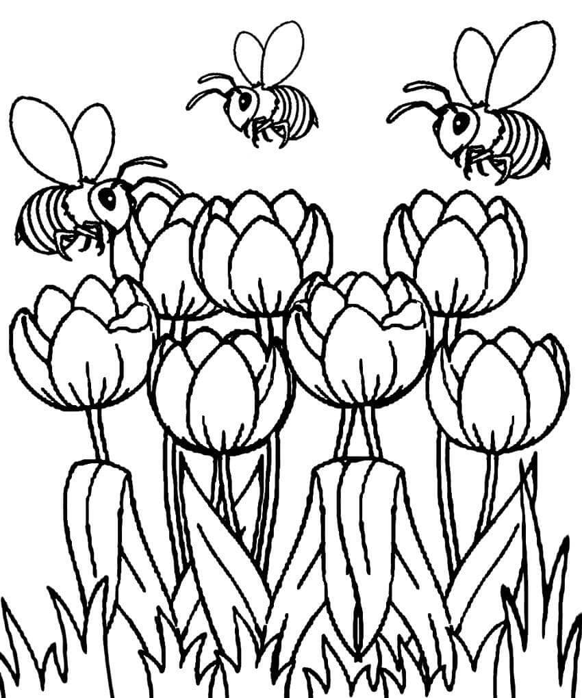 Desenho de Tulipa Grátis para Imprimir e Colorir