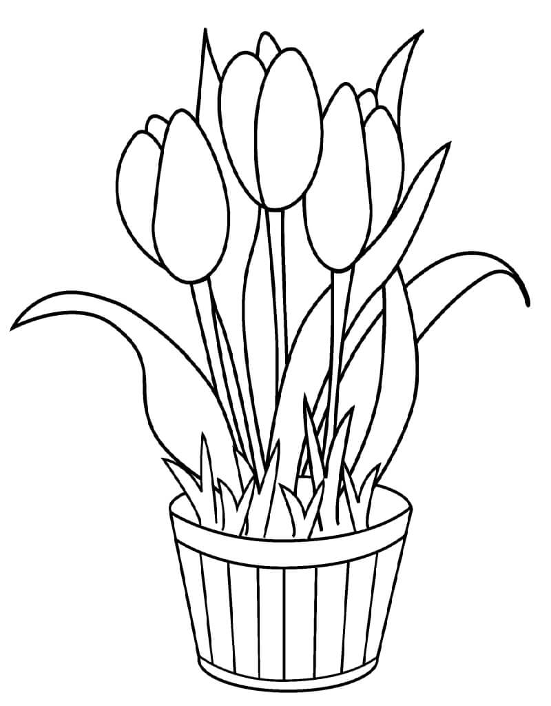 Desenho de Tulipa Imprimivel Pdf para Colorir