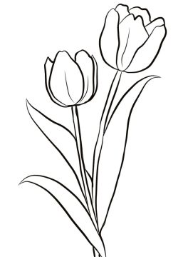 Desenho de Tulipa para Colorir Pdf grátis