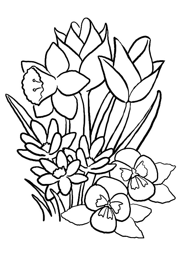 Desenhos de Tulipa para Colorir