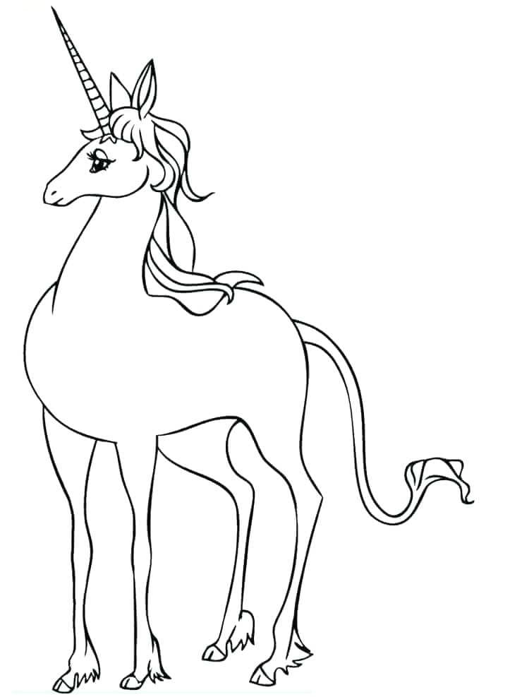 Desenho de Unicórnio Atividade Educativa para Colorir