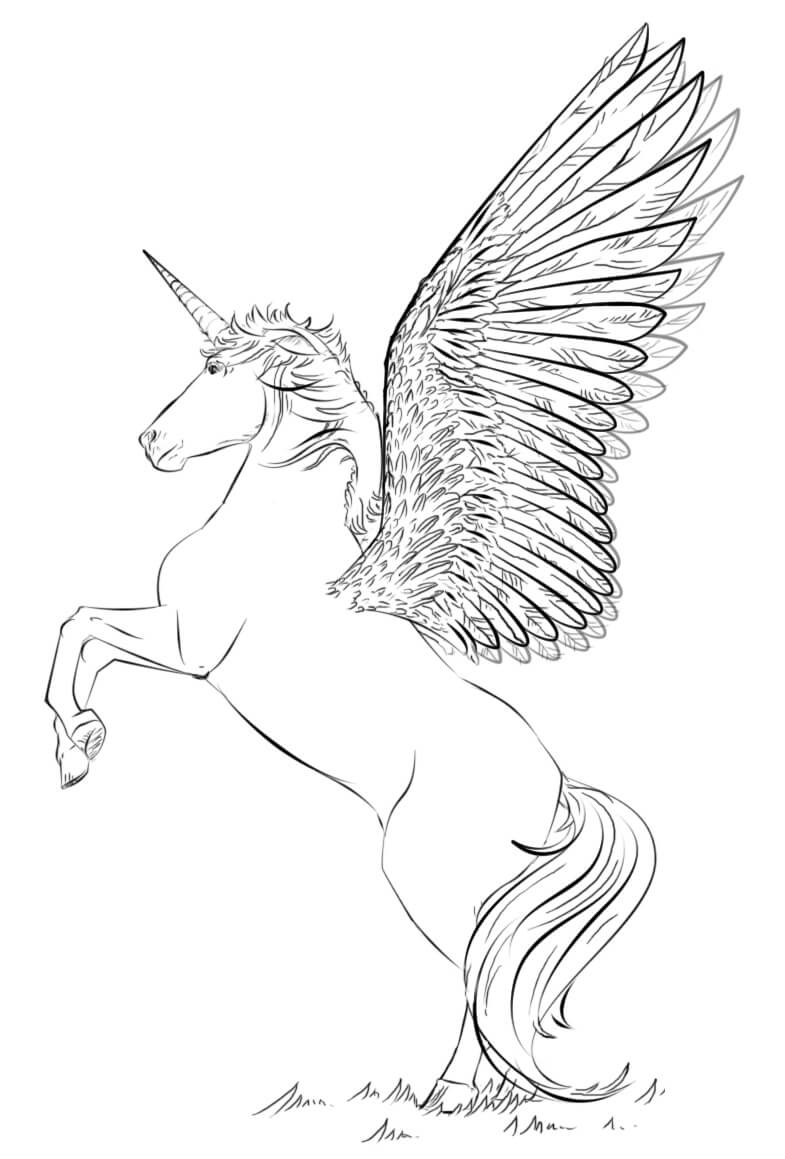 Desenho Pdf de Unicórnio Alado Empinando para Colorir