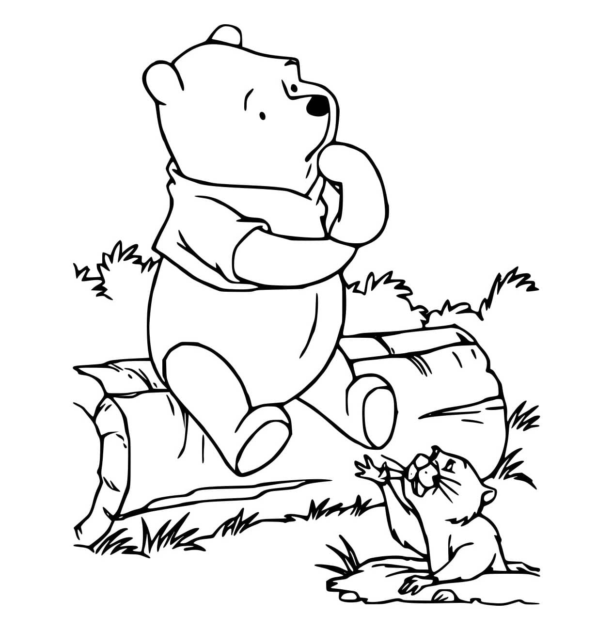 Desenho de Pooh e Gopher para Colorir