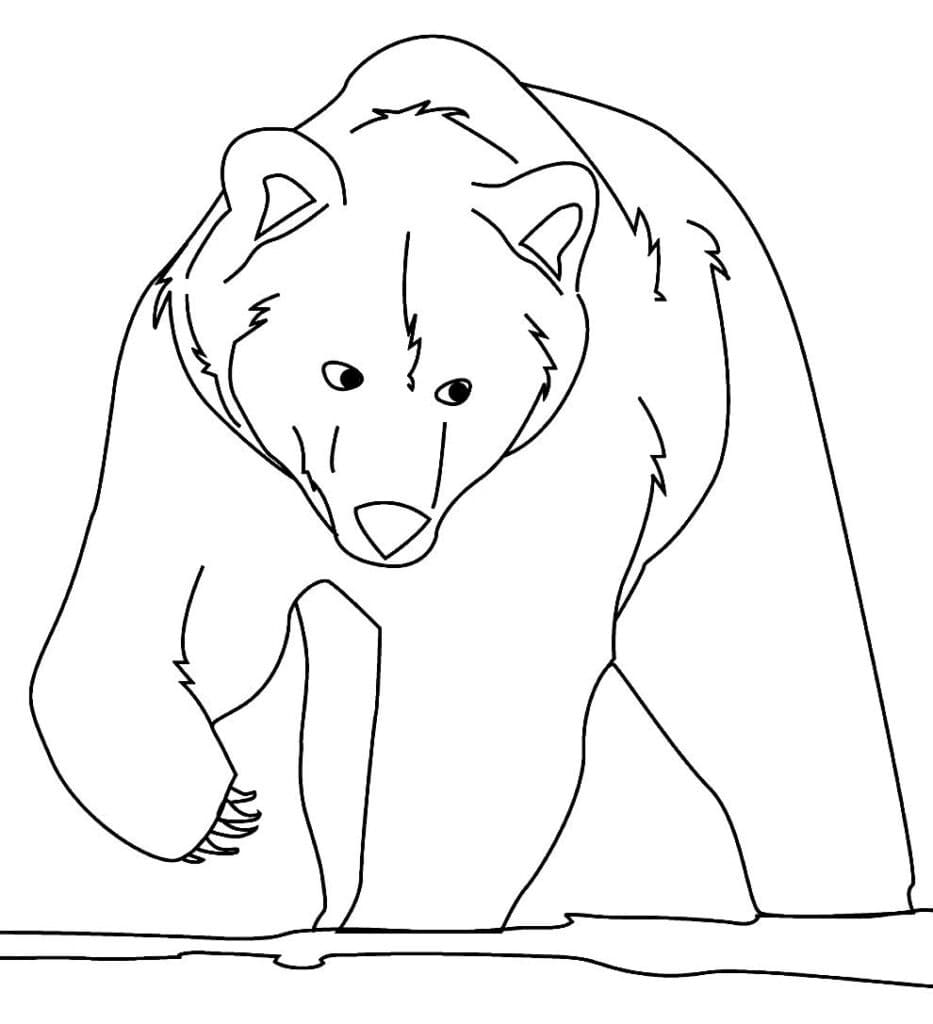 Desenho de Grande Urso para Colorir