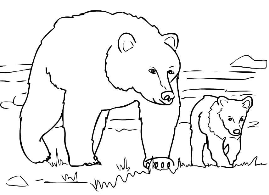 Desenho de Mãe Ursa e Filhote de Urso para Colorir