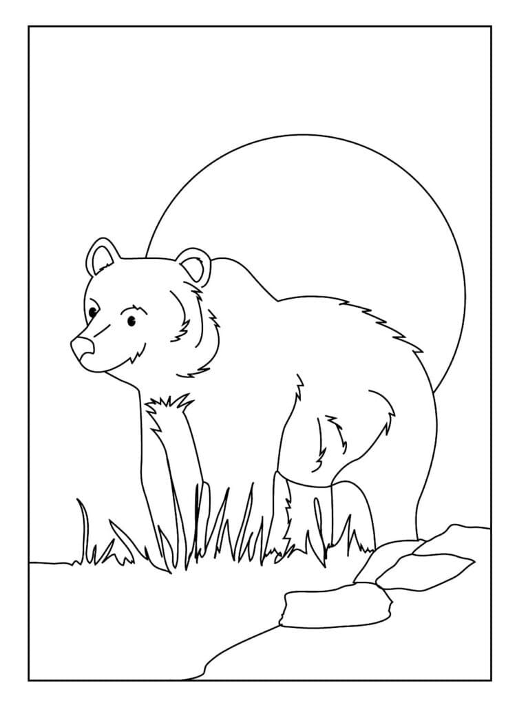 Desenho de o Urso para Colorir