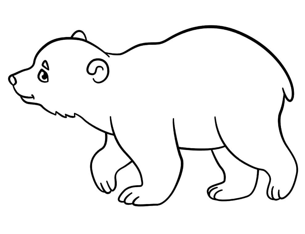 Desenho de Pequeno Urso para Colorir
