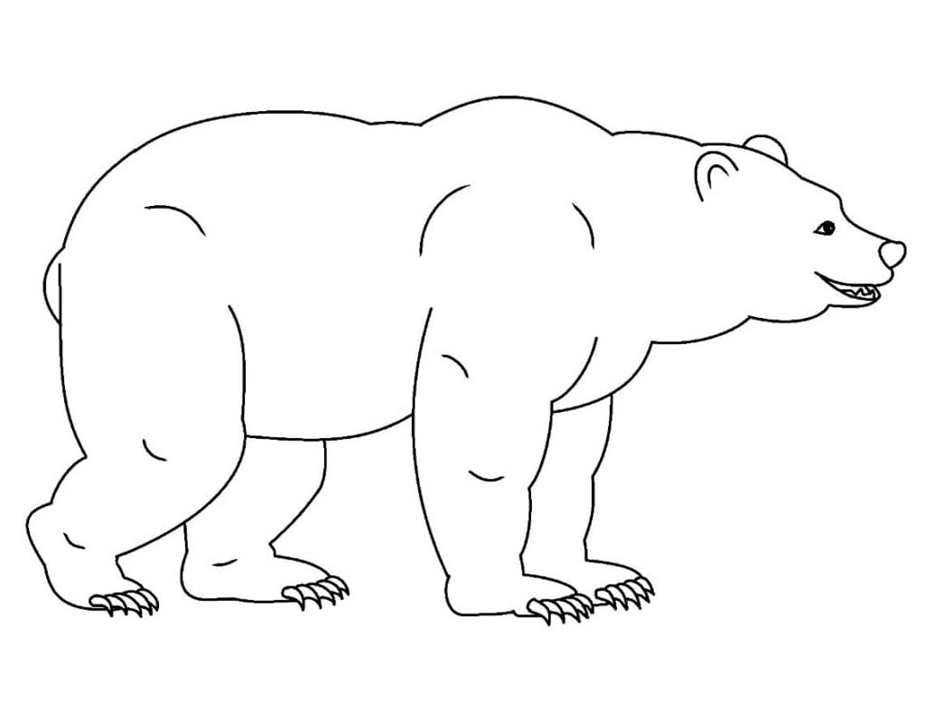 Desenho de um Urso Muito Feliz para Colorir