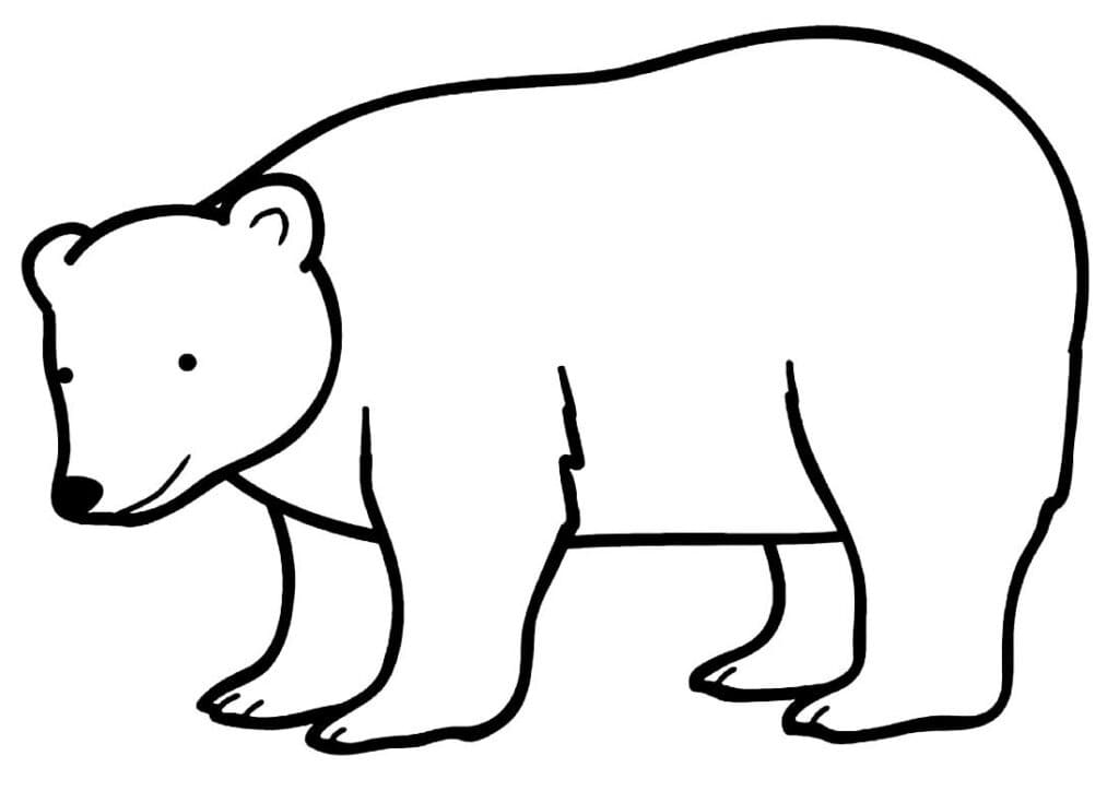 Desenho de um Urso para Colorir