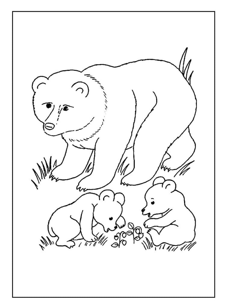 Desenho de uma Família de Ursos para Colorir