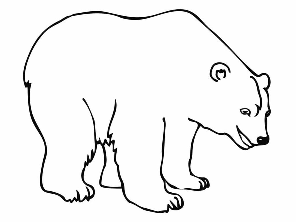 Desenho de Urso Fácil para Colorir