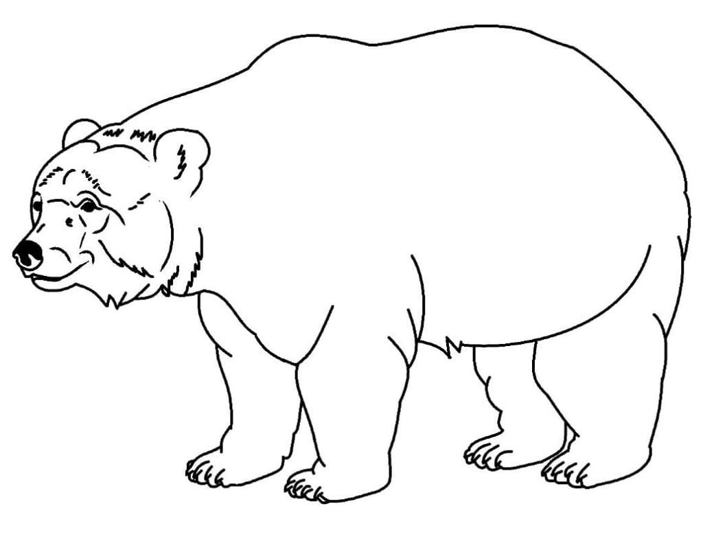 Desenho de Urso Muito Simples para Colorir