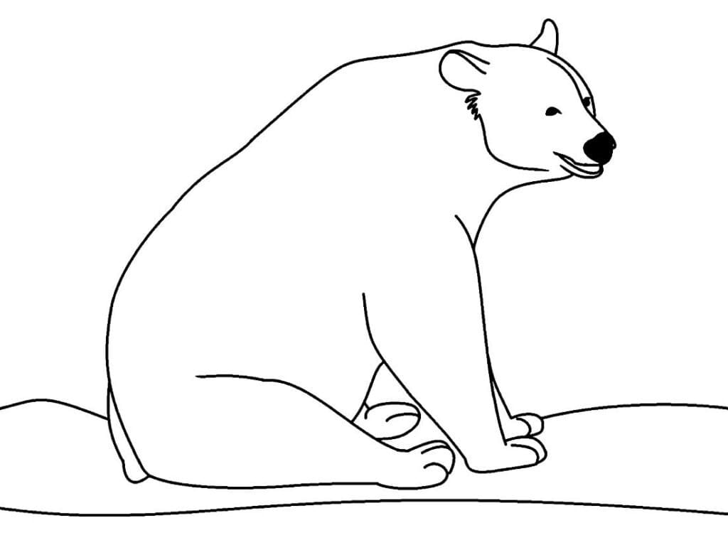 Desenho de Urso Normal para Colorir