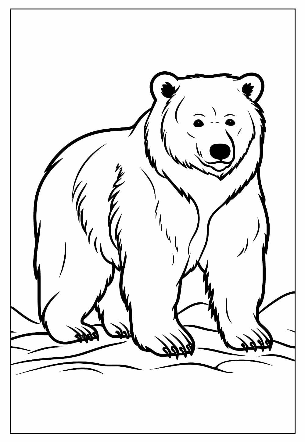 Desenho de Urso Selvagem para Colorir