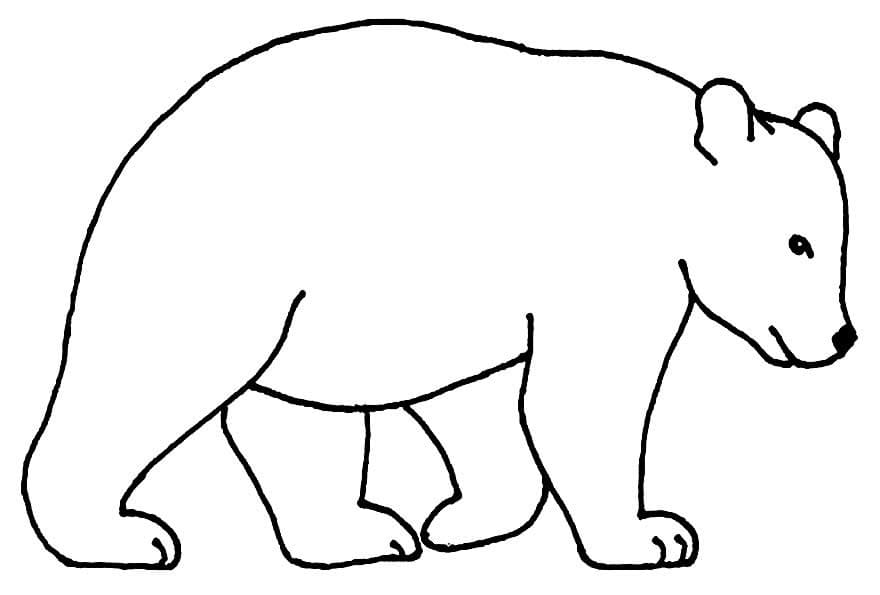 Desenho de Urso Simples para Colorir