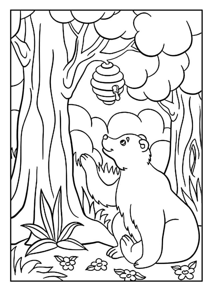 Desenho de Urso e Mel para Colorir