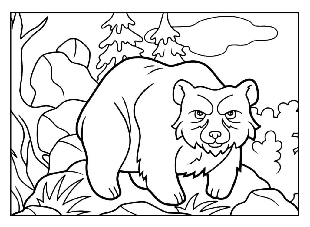 Desenho de Velho Urso para Colorir