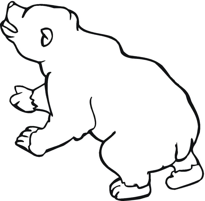 Desenho de Urso para Colorir com Giz de Cera Download