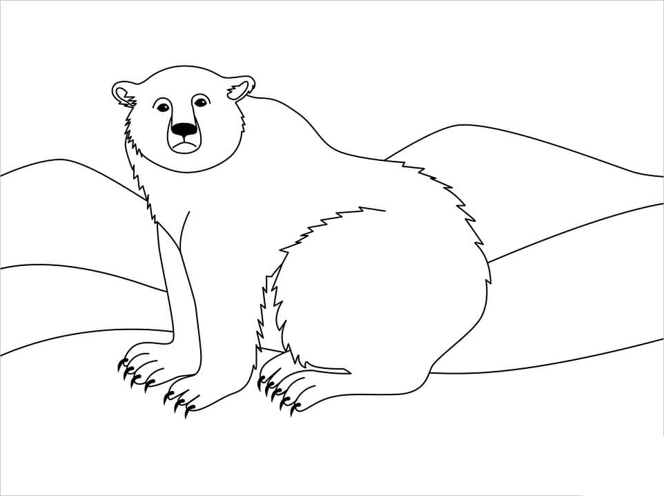 Desenho de Urso para Colorir com Giz de Cera Imprimivel