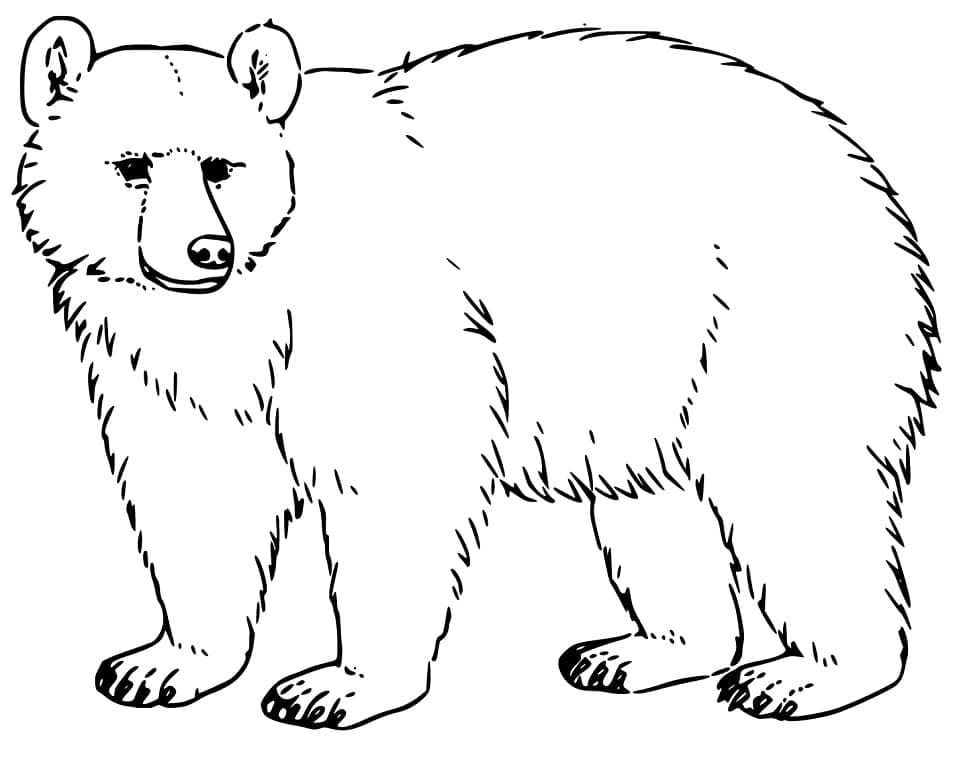 Desenho de Urso para Colorir com Giz de Cera Pdf