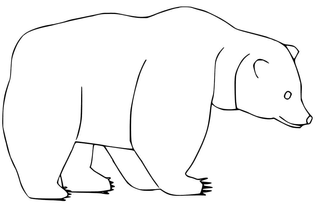 Desenho de Urso para Colorir com Lápis de Cor Pdf