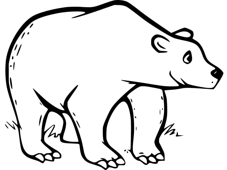 Desenho de Urso para Colorir com Tinta Guache Pdf