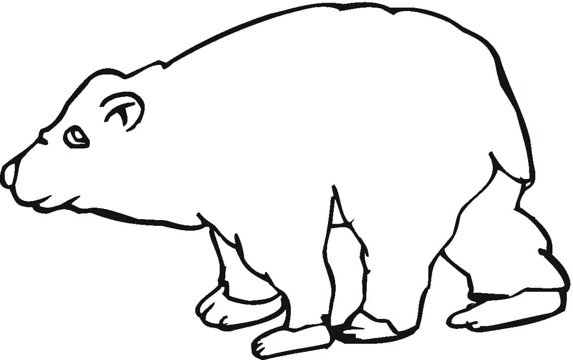 Desenho de Urso para Colorir Download Pdf