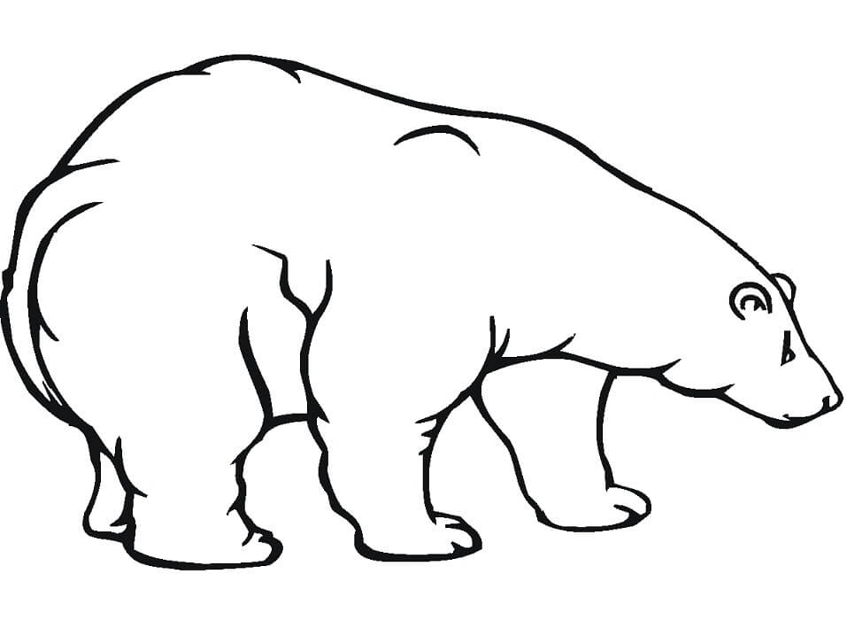 Desenho de Urso para Colorir em Casa Pdf