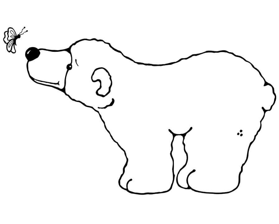 Desenho de Urso para Colorir Grátis Pdf