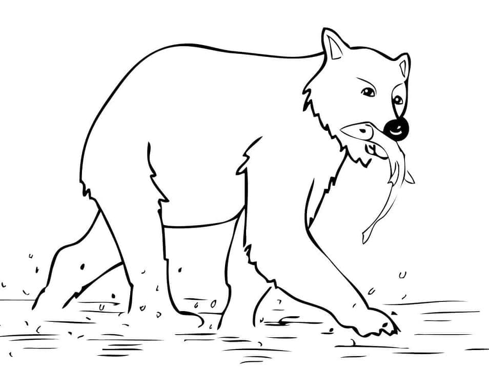 Desenho de Urso para Colorir Imprimivel Download