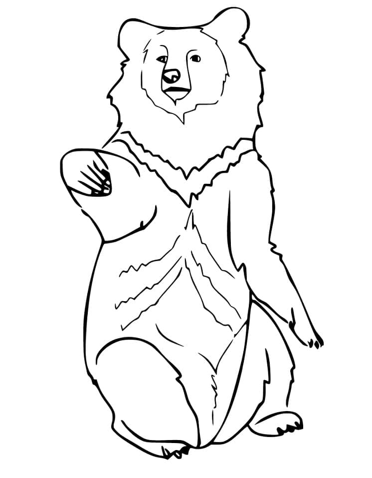 Desenho Grande Urso Negro para Colorir