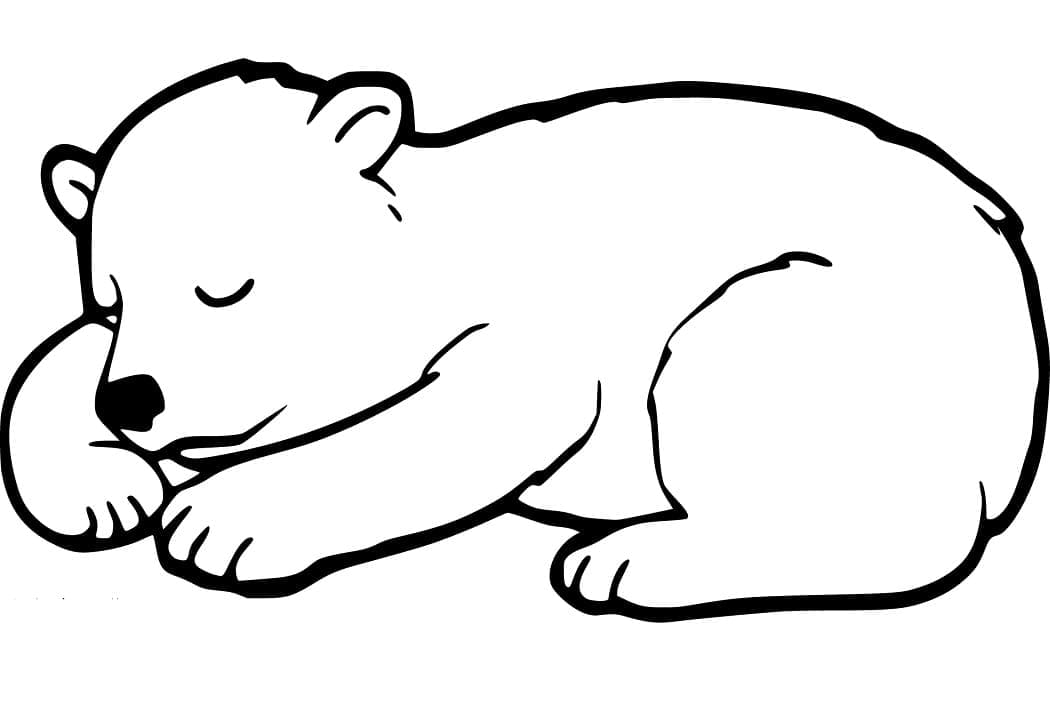Desenho Lindo Urso Negro para Colorir