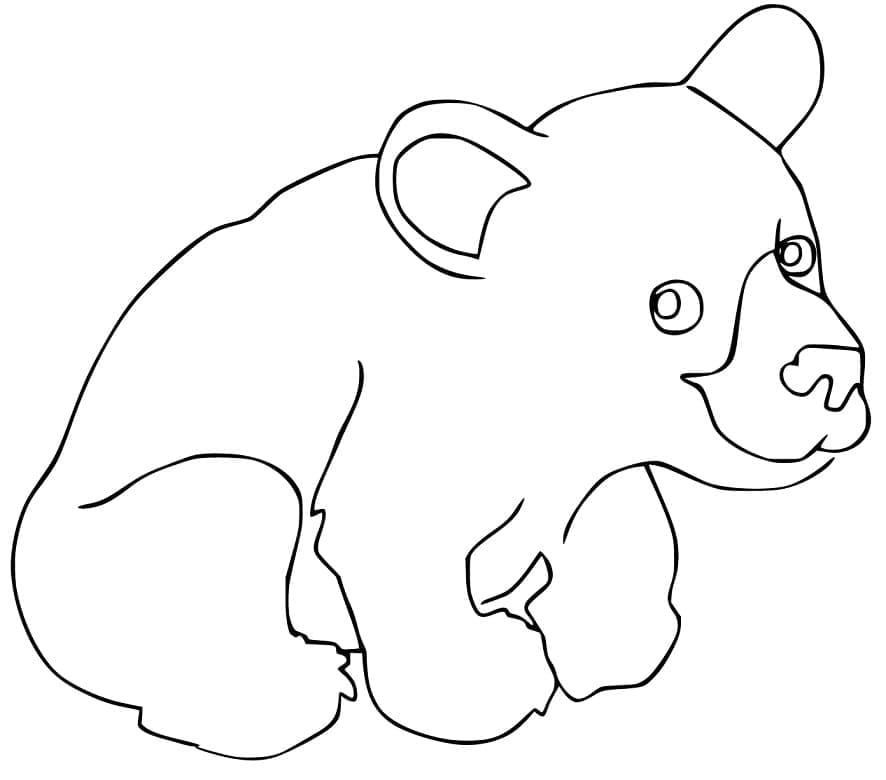 Desenho Lindo Urso Pardo para Colorir