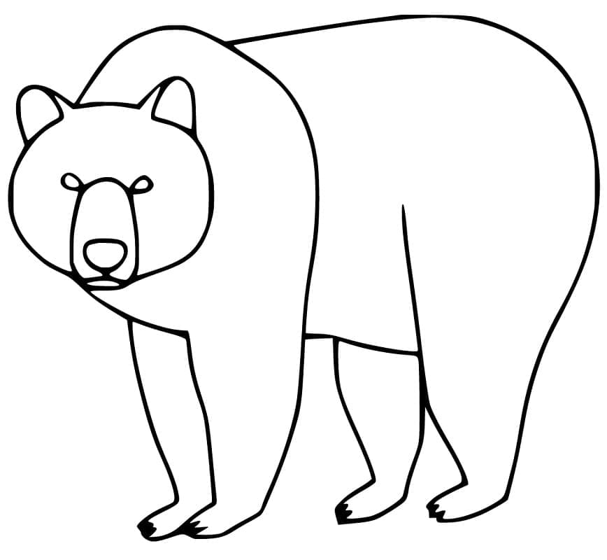 Desenho um Urso Pardo para Colorir