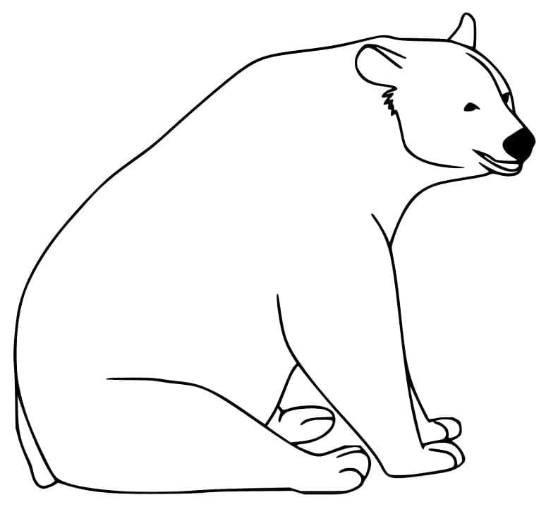 Desenho Urso Negro Fácil para Colorir