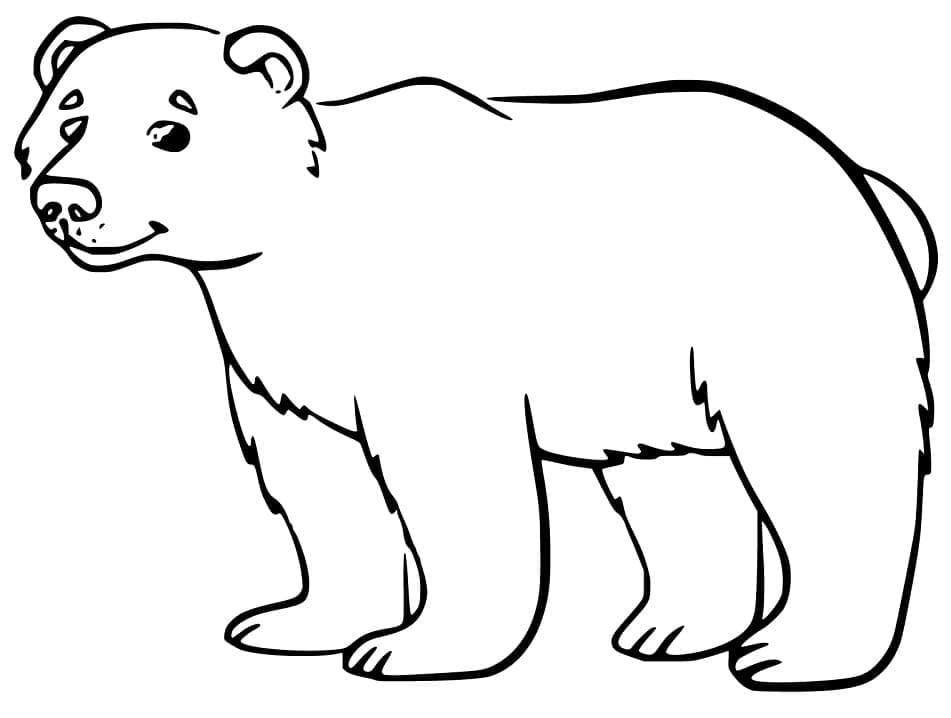 Desenho Urso Negro Feliz para Colorir
