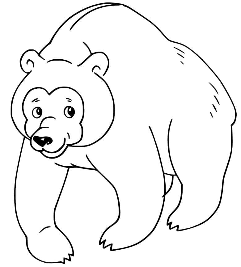 Desenho Urso Pardo de Desenho Animado para Colorir