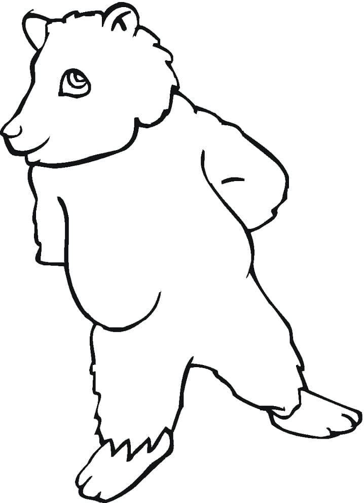 Desenho Urso Pardo em Pé para Colorir