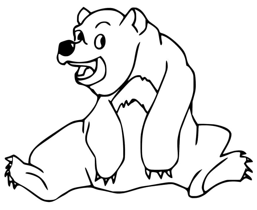 Desenho Urso Pardo Rindo para Colorir
