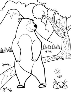 Desenho Urso Selvagem para Colorir
